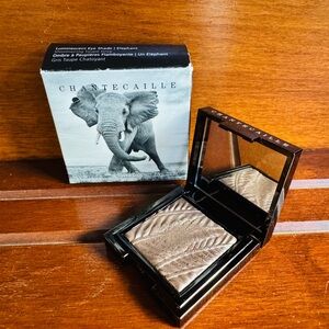 Chantecaille Luminescent Eye Shade #Elephant